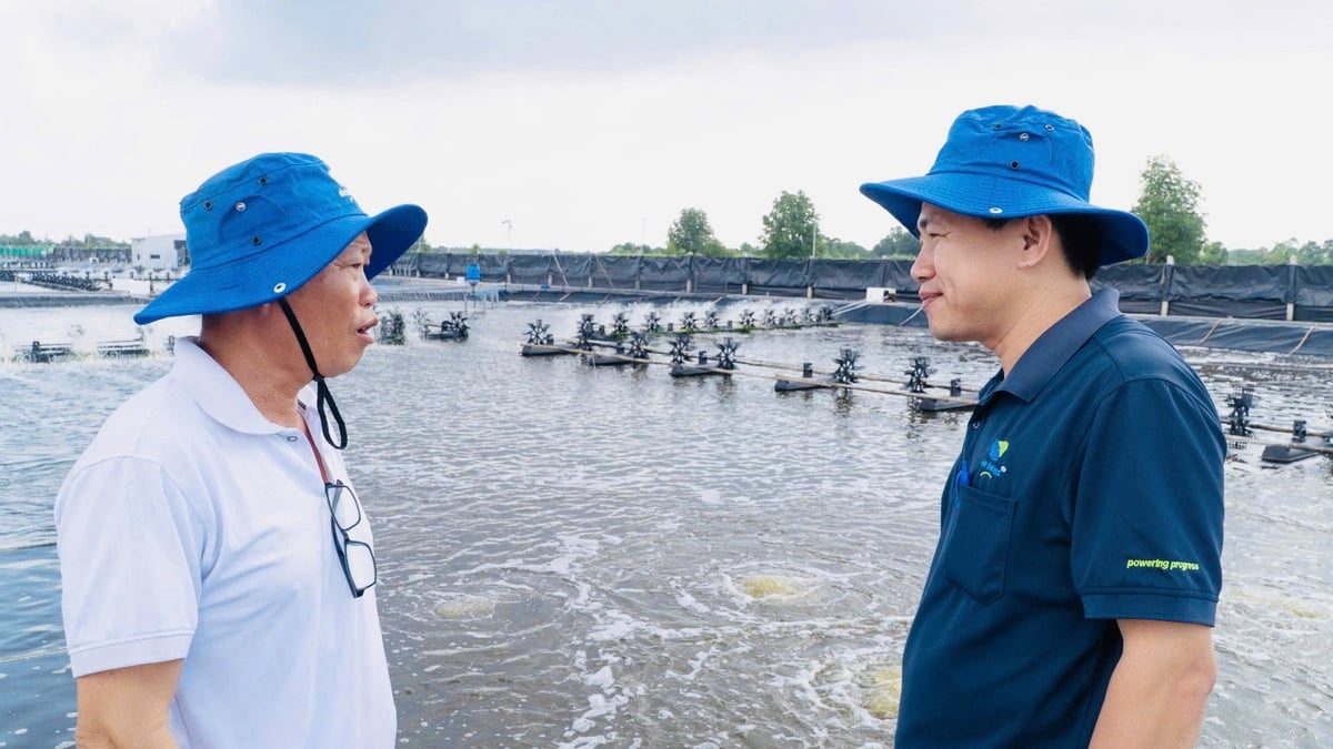 Đội ngũ chuyên gia hỗ trợ nông dân khi áp dụng thực hiện mô hình. Ảnh: Trọng Linh.