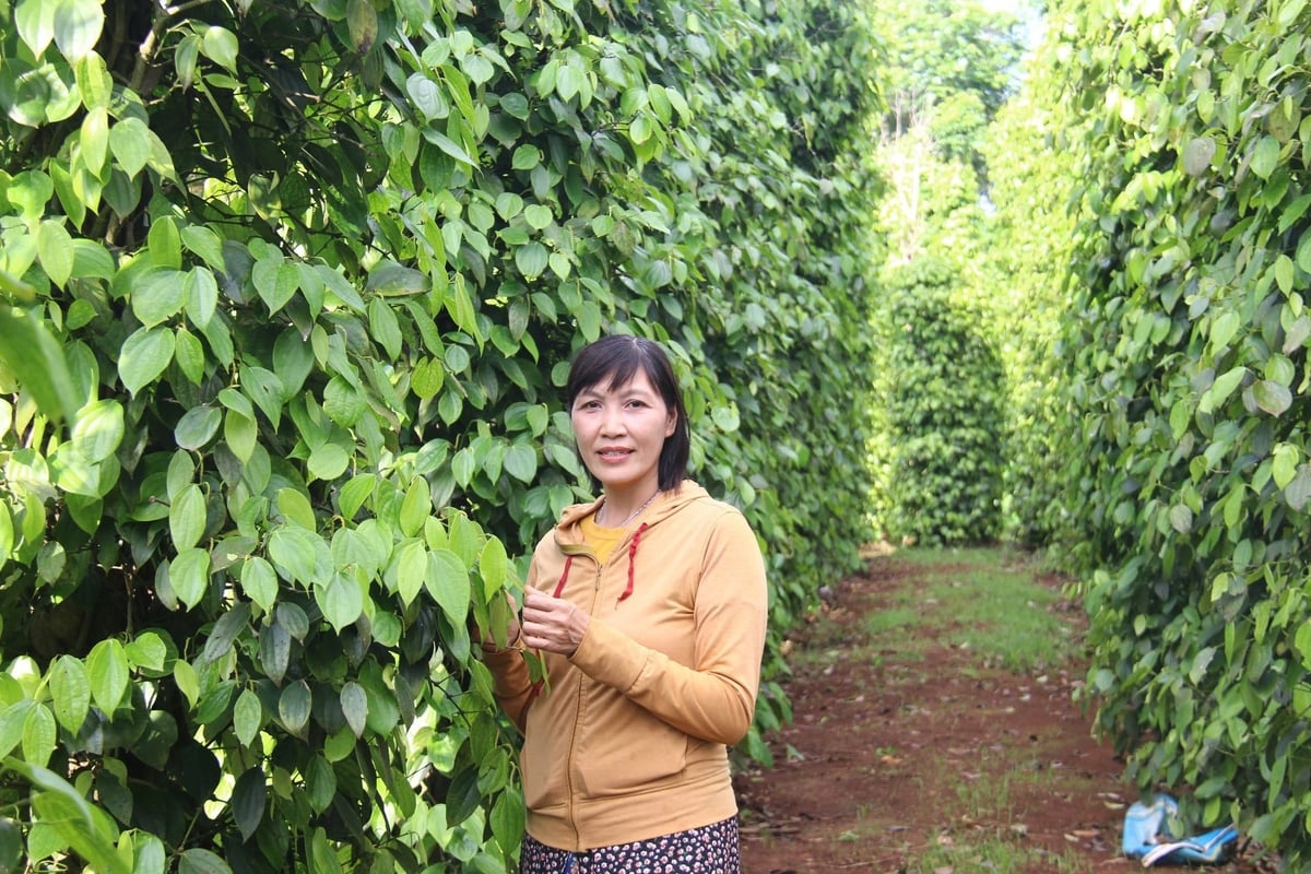 Chị Nhung đã truyền cảm hứng lao động, sáng tạo cho bà con địa phương. Ảnh: Tuấn Trần. Chị Nhung đã truyền cảm hứng lao động, sáng tạo cho bà con địa phương. Ảnh: Tuấn Trần.