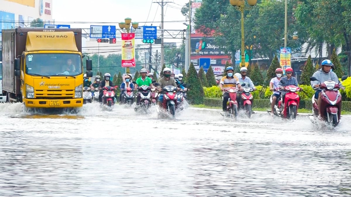 Triều cường làm ngập các đường trong nội ô thành phố Cần Thơ. Ảnh: Văn Vũ. Triều cường làm ngập các đường trong nội ô thành phố Cần Thơ. Ảnh: Văn Vũ.