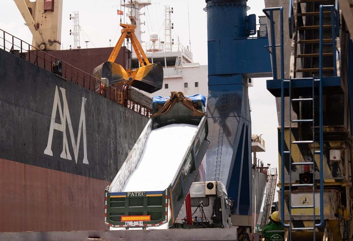 Giao Đạm Phú Mỹ dạng xá lên tàu để vận chuyển qua Ấn Độ. Ảnh: Đức Trung.