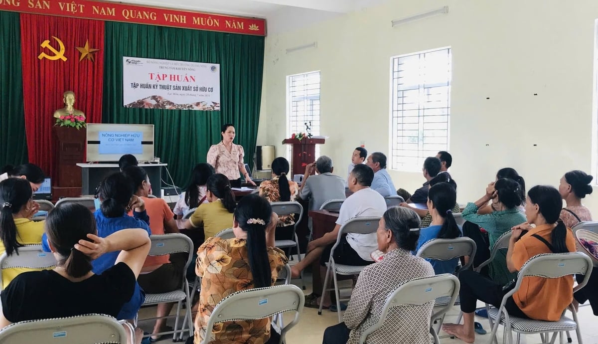 Người dân tham gia mô hình được tập huấn kỹ thuật sản xuất sở hữu cơ. Ảnh: Nguyễn Thành.