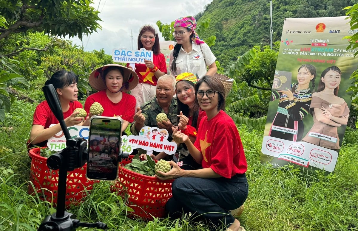 Livestream giới thiệu sản phẩm tại vườn na của ông Kiều Thượng Chất ở xã Võ Nhai (Thái Nguyên). Ảnh: Quang Linh.