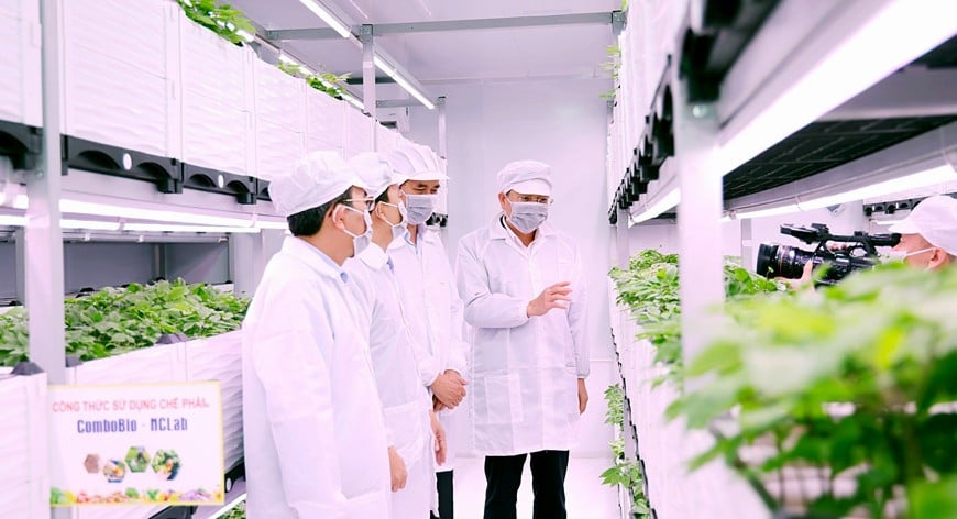 Công ty TNHH Nông Lâm nghiệp ứng dụng công nghệ cao Bình Xuyên áp dụng công nghệ AI vào việc trồng nhân sâm Hàn Quốc. Một bức tranh nông thôn hiện đại, xanh, sạch, đáng sống đang hiện hữu, tiếp nối trọn vẹn khát vọng của Kim Ngọc thuở nào. Ảnh: An Khang. 