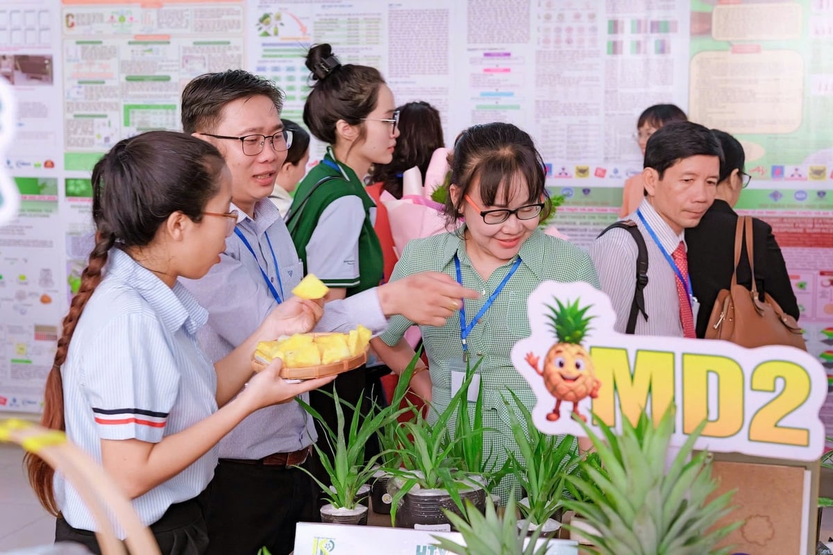 Đại biểu tham quan sản phẩm khóm cấy mô MD2 của Hợp tác xã Nông nghiệp công nghệ cao Kim Phát (xã An Thạnh Thủy, tỉnh Đồng Tháp). Ảnh: Minh Đảm. Đại biểu tham quan sản phẩm khóm cấy mô MD2 của Hợp tác xã Nông nghiệp công nghệ cao Kim Phát (xã An Thạnh Thủy, tỉnh Đồng Tháp). Ảnh: Minh Đảm.