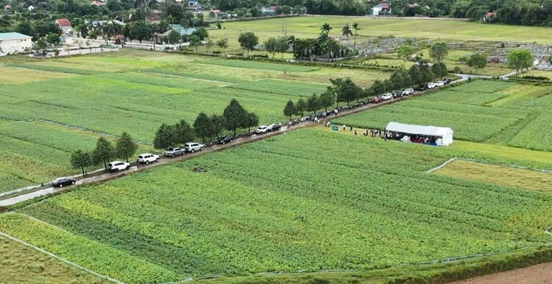 Trung tâm Khuyến nông Quốc gia tổ chức tọa đàm ngay tại ruộng mô hình. Ảnh: Thanh Nga.