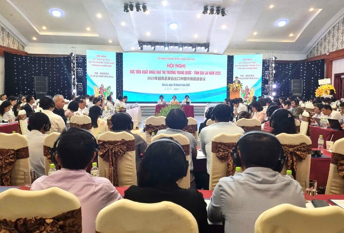 Hội nghị xúc tiến xuất khẩu vào thị trường Trung Quốc – tỉnh Gia Lai 2025. Ảnh: Tuấn Anh.