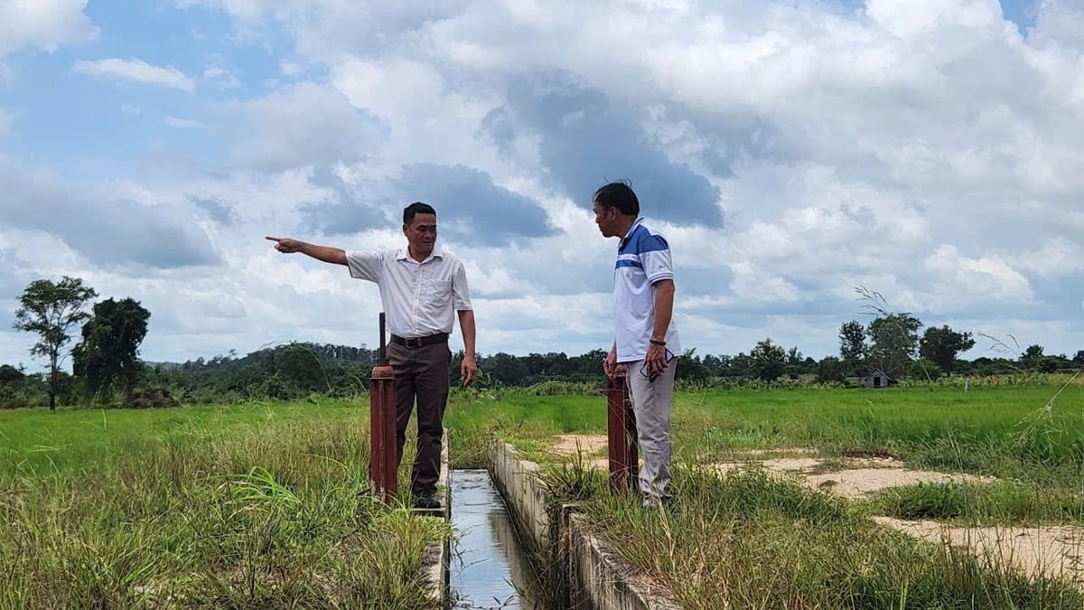 Do thiếu nước tưới nên ngành nông nghiệp Tây Gia Lai không thể phát triển, nông dân rất bức xúc. Ảnh: V.Đ.T. Do thiếu nước tưới nên ngành nông nghiệp Tây Gia Lai không thể phát triển, nông dân rất bức xúc. Ảnh: V.Đ.T.