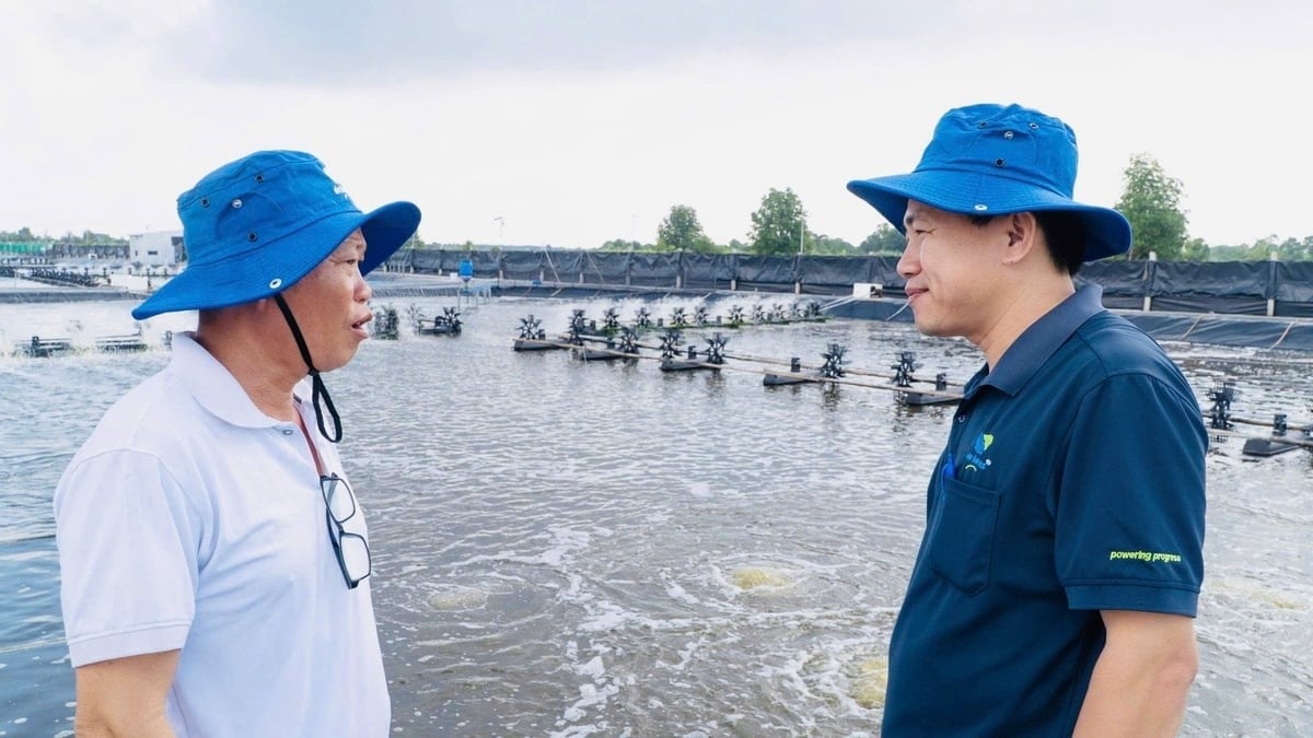 A team of experts supports farmers in applying the model. Photo: Trong Linh.