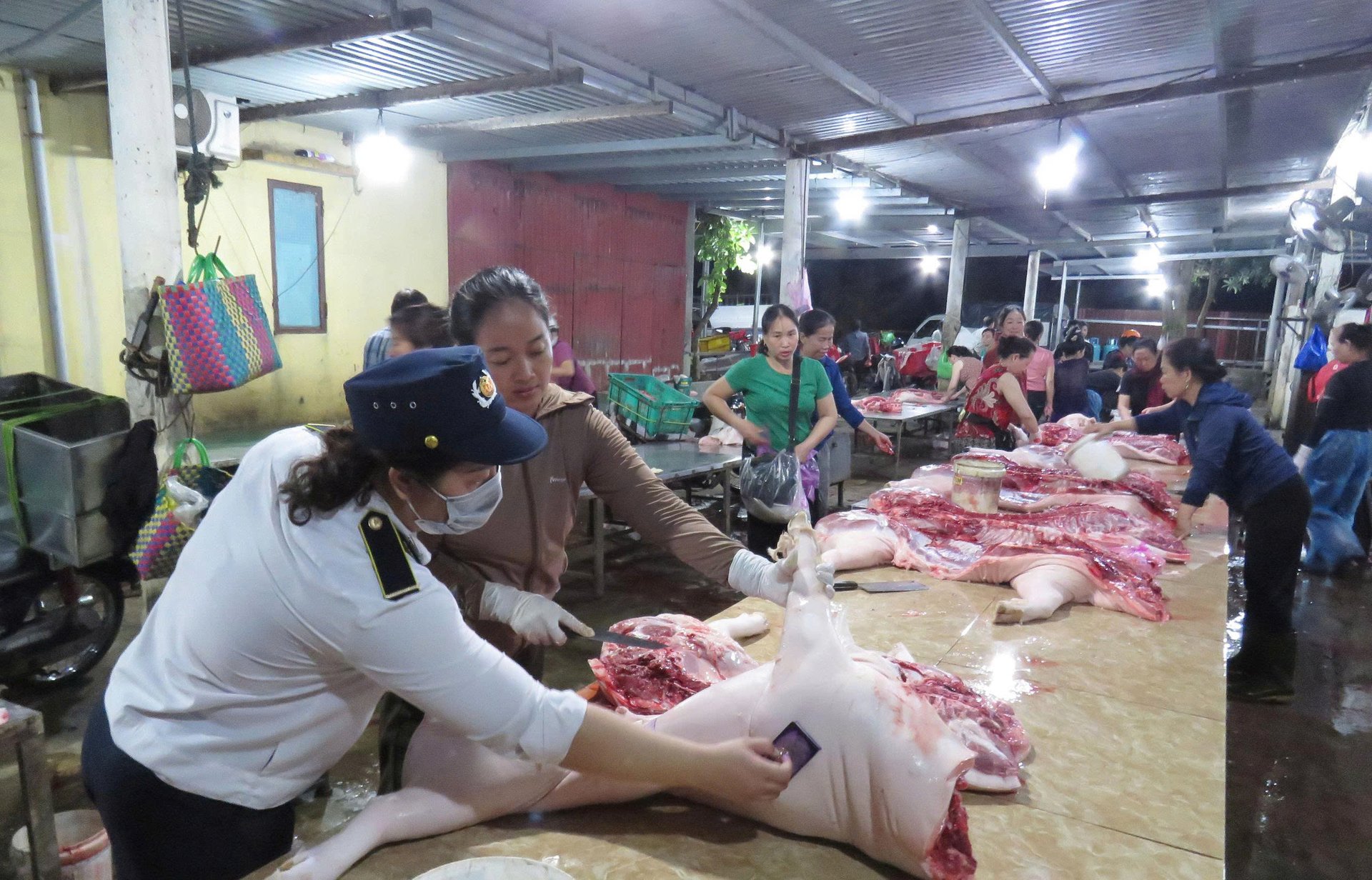 Trạm Chăn nuôi và Thú y số 1 triển khai nhiệm vụ an toàn chăn nuôi tại thôn Thiết Sơn (xã Tuyên Hóa). Ảnh : T. Phùng.