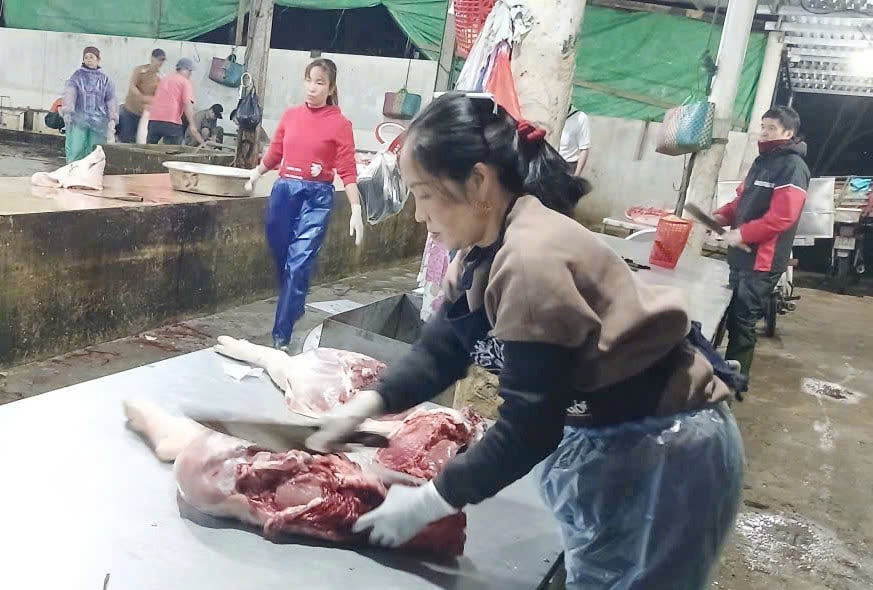 Nhiều địa phương tại tỉnh Quảng Trị không có cán bộ thú y nên việc thực hiện công tác phòng chống dịch bệnh, kiểm soát giết mổ gặp nhiều khó khăn. Ảnh : T. Phùng.
