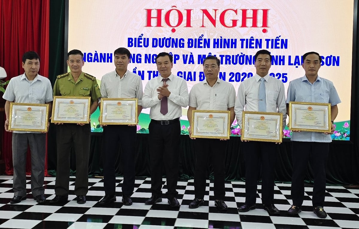 Các tập thể trực thuộc Sở NN-MT Lạng Sơn được biểu dương trong phong trào thi đua giai đoạn 2020- 2025. Ảnh: Hoàng Nghĩa. Các tập thể trực thuộc Sở NN-MT Lạng Sơn được biểu dương trong phong trào thi đua giai đoạn 2020- 2025. Ảnh: Hoàng Nghĩa.