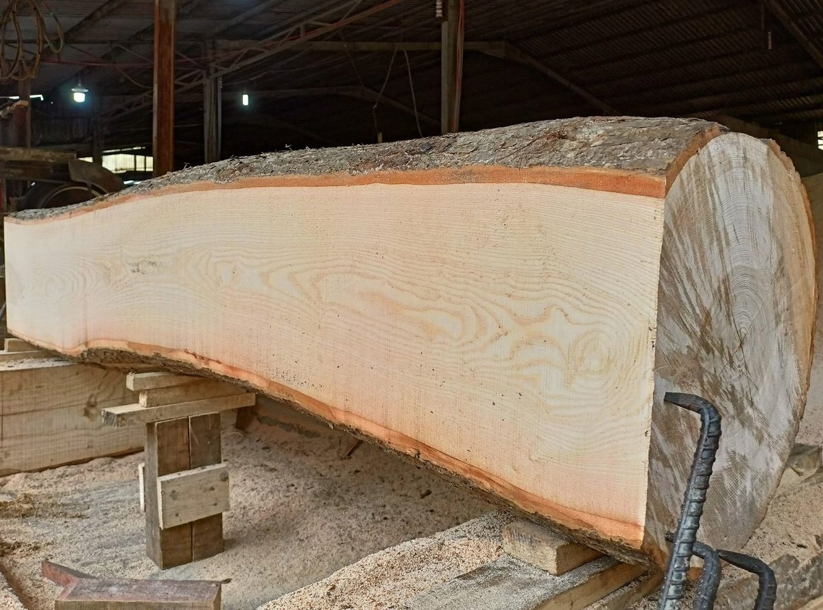 Việt Nam đang tăng nhập khẩu gổ nguyên liệu từ Hoa Kỳ. Ảnh: Thanh Sơn. Việt Nam đang tăng nhập khẩu gổ nguyên liệu từ Hoa Kỳ. Ảnh: Thanh Sơn.