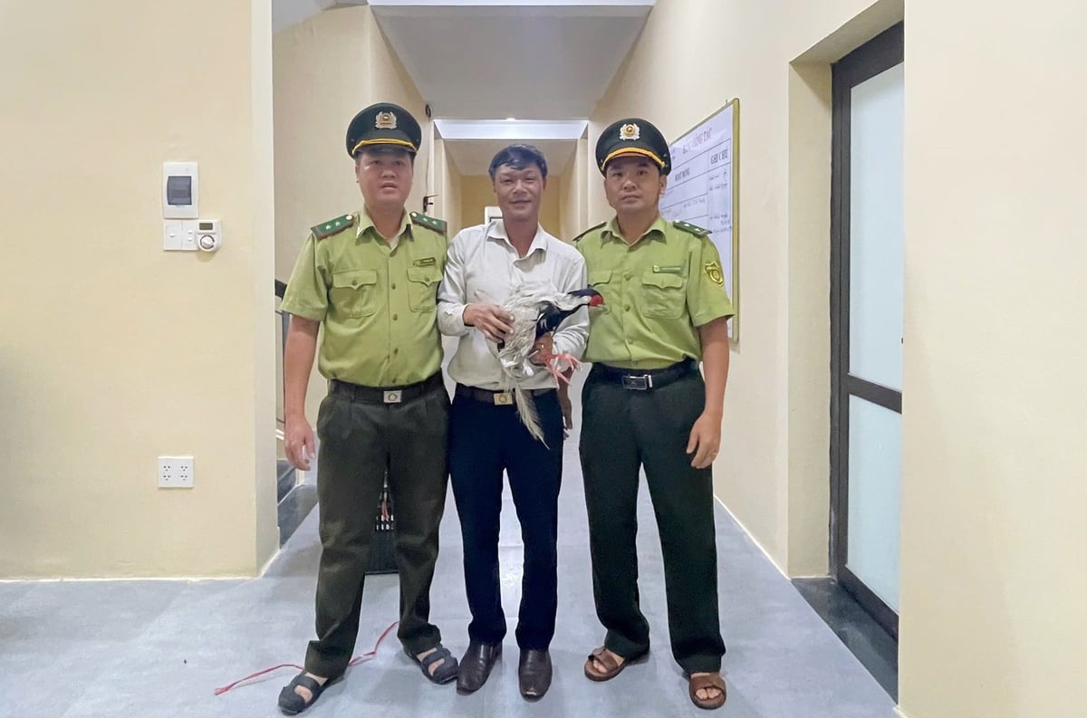Người dân bàn giao gà lôi trắng cho lực lượng chức năng. Ảnh: Phường Thủy Xuân.