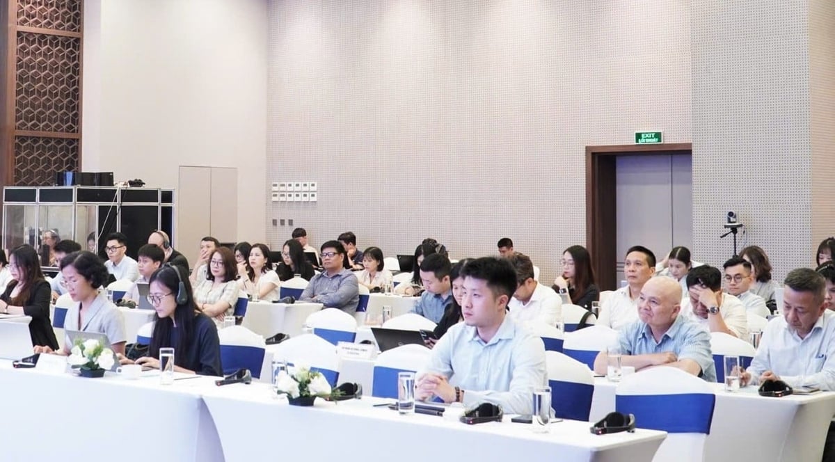 Các quy định về giao dịch kết quả giảm nhẹ, tín chỉ carbon cần tuân thủ hướng dẫn quốc tế. Ảnh: Trung Nguyên.