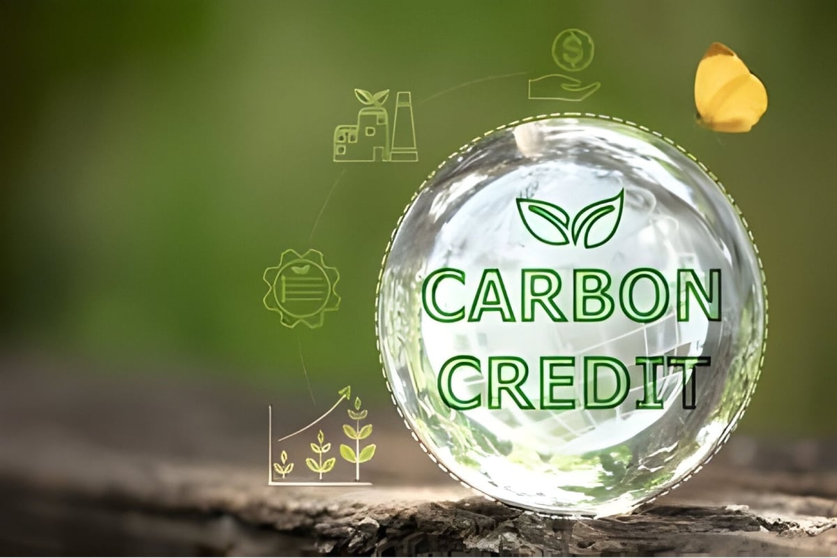 Chính sách carbon của EU có thể trở thành hình mẫu cho việc kết hợp giữa mục tiêu quốc gia và hợp tác toàn cầu. Ảnh: EPR. 