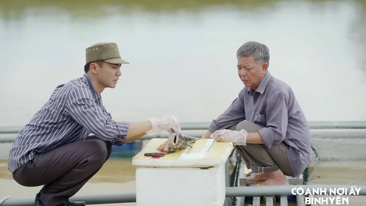 Cá trong các bè nuôi bỗng dưng chết hàng loạt. Ảnh CMH