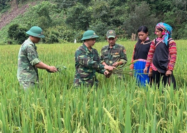 Công tác truyền thông về giảm nghèo bền vững phải được đẩy mạnh hơn nữa để tạo sự đồng thuận và tham gia tích cực từ xã hội. Ảnh: Minh Hoàng.