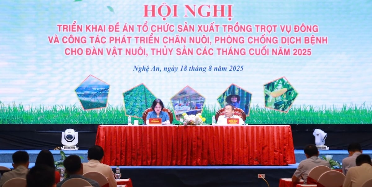 Nghệ An đã tổ chức Hội nghị để tìm phương án xử lý. Ảnh: Việt Khánh.