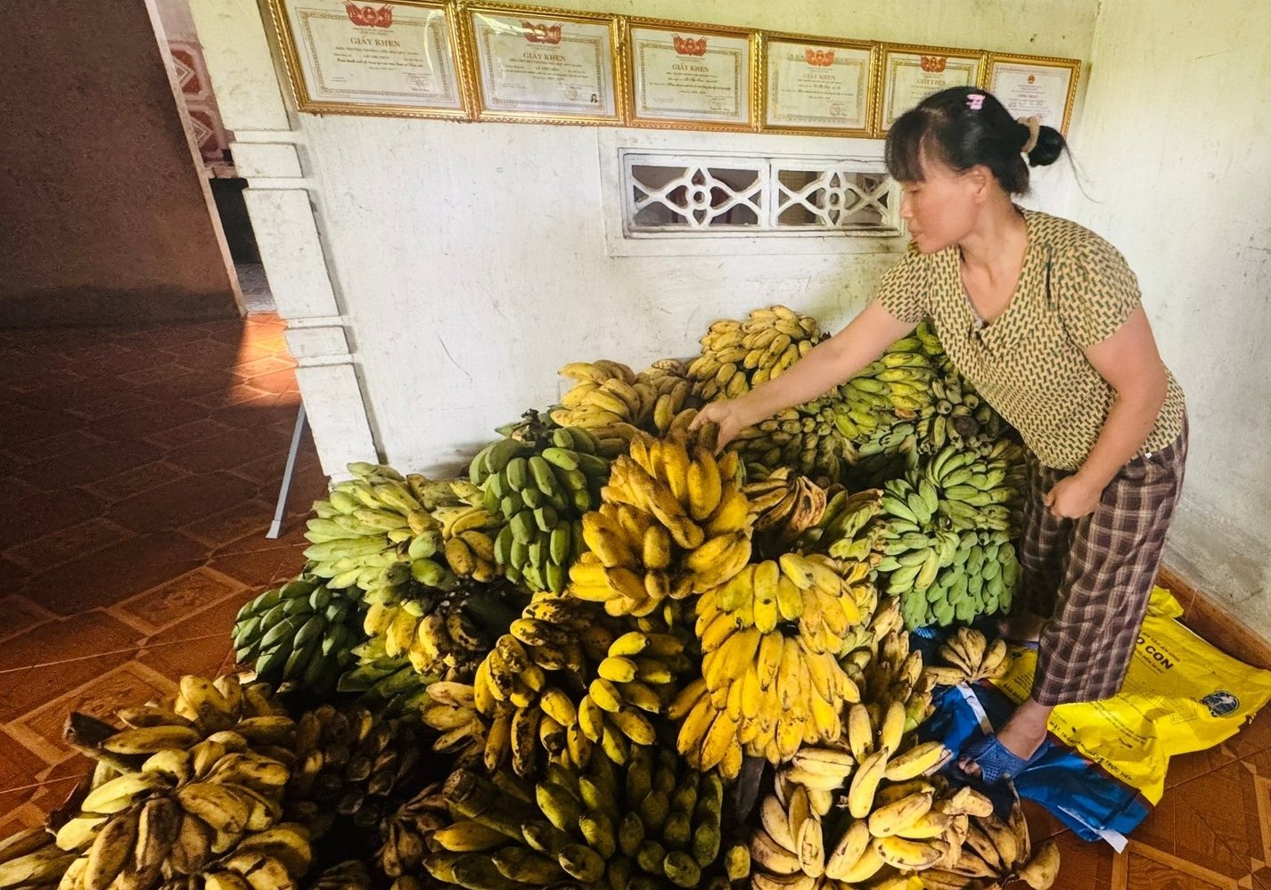 Chồn vòi mốc ăn rất ít, thức ăn chủ yếu là chuối chín xay với cám gạo, cám ngô. Ảnh: Ánh Nguyệt.