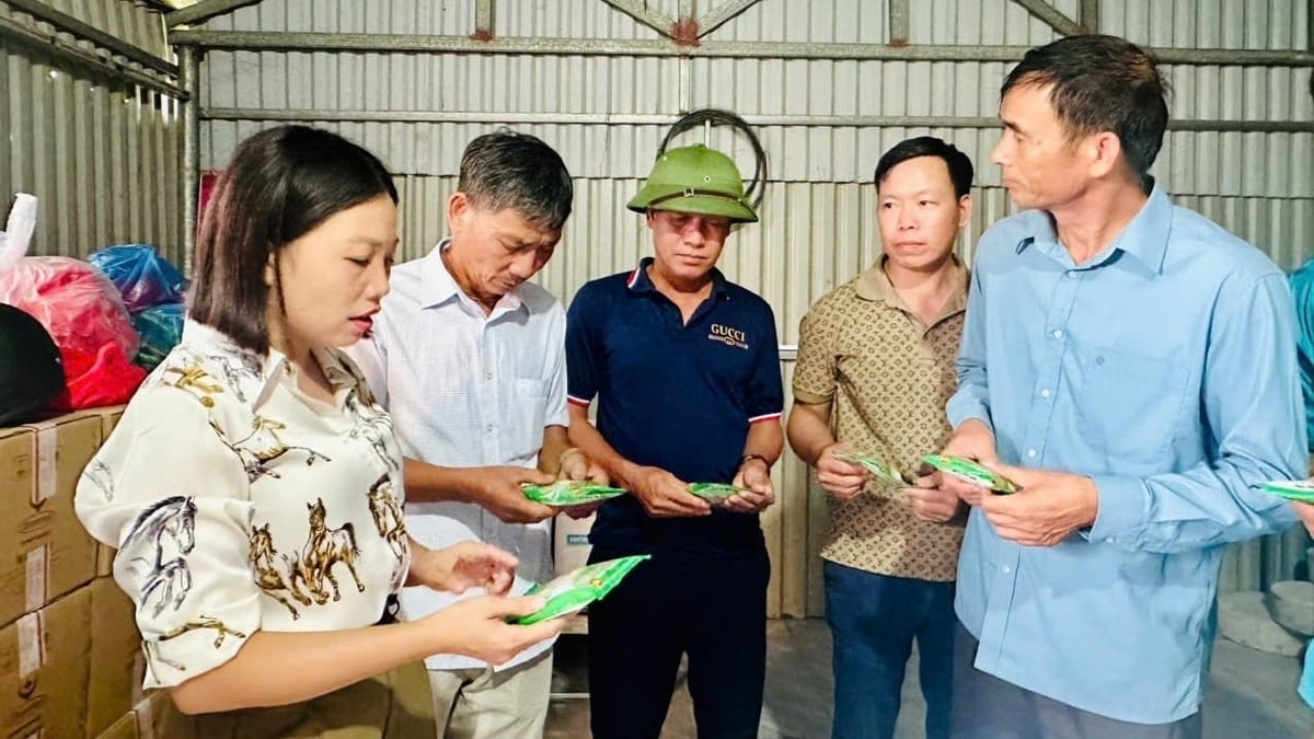 UBND xã Quảng Đức cấp phát 10.000 gói thuốc diệt chuột cho người dân. Ảnh: Nguyễn Thành.
