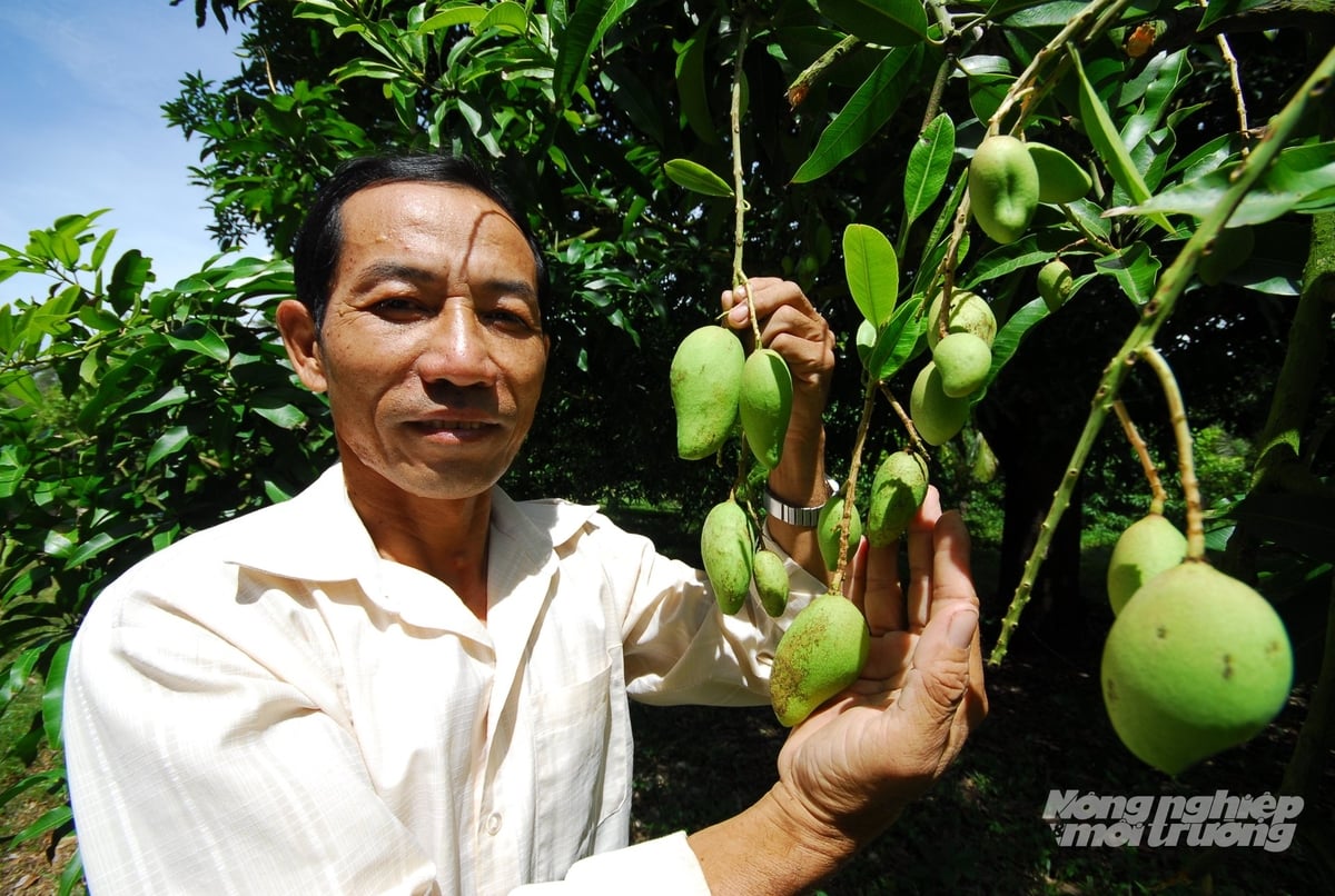 Người dân phấn khởi nhờ có nguồn nước thủy lợi phục vụ nông nghiệp vùng cao ổn định. Ảnh: Lê Hoàng Vũ.