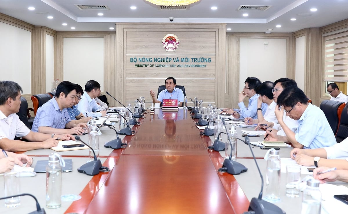 Quyền Bộ trưởng Trần Đức Thắng chủ trì cuộc họp với các cơ quan chuyên môn ngành Lâm nghiệp và Đa dạng sinh học tập trung hoàn thiện chiến lược quản lý, chính sách nhân lực và phát triển bền vững, bảo vệ rừng cho các thế hệ sau. Ảnh: Khương Trung.