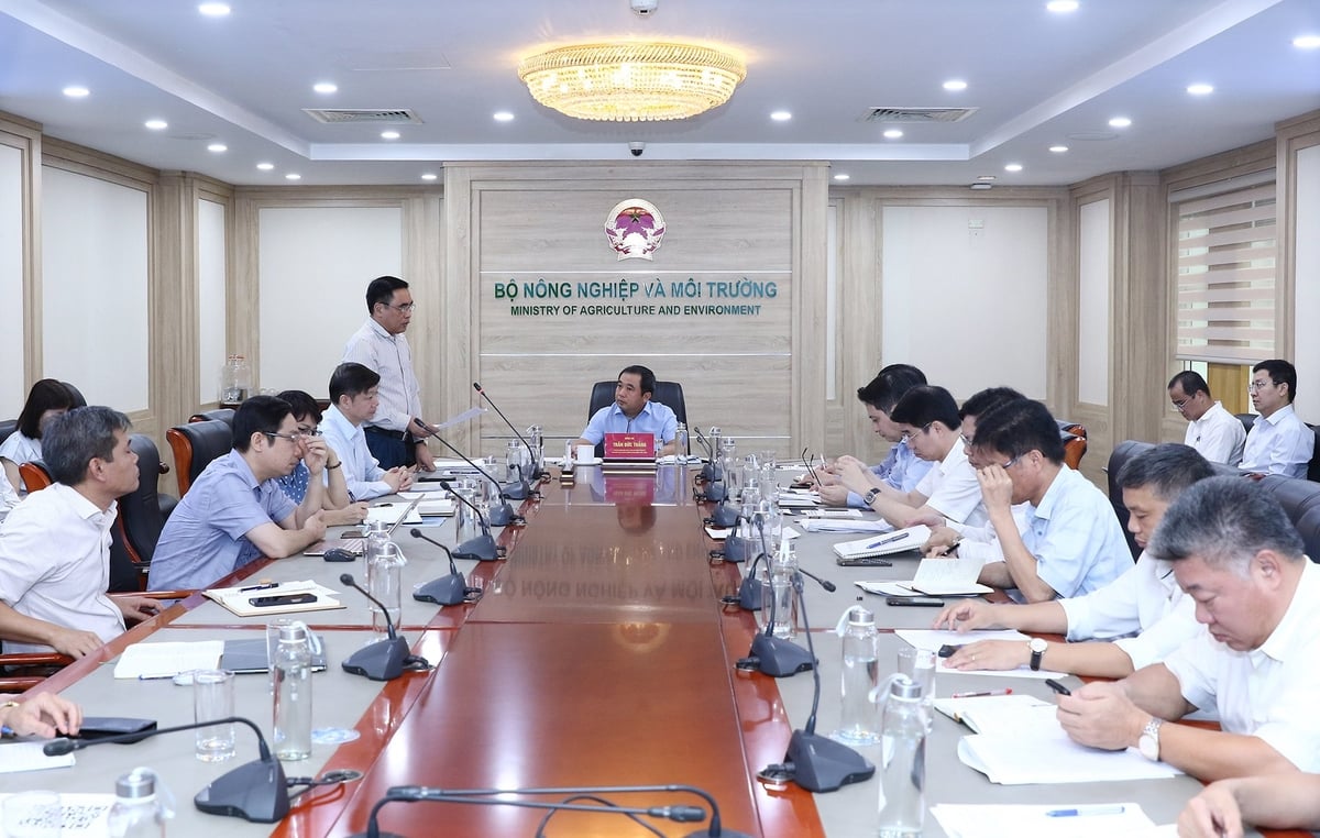 Thứ trưởng Nguyễn Quốc Trị phát biểu tại cuộc họp. Ảnh: Khương Trung.
