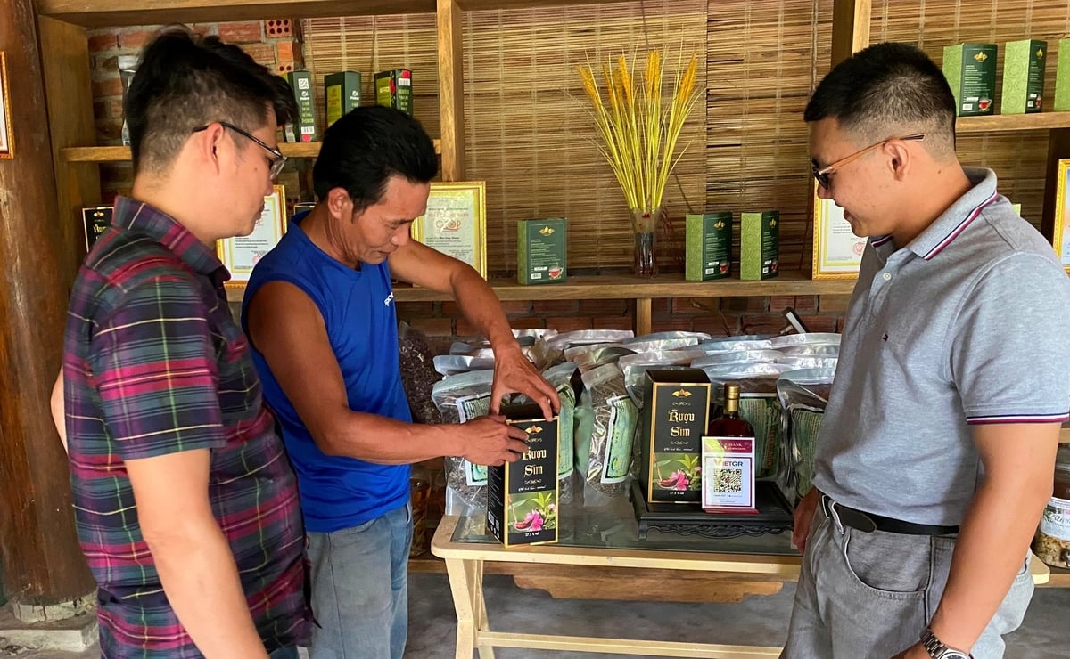 Khách tham quan nơi trưng bày, giới thiệu sản phẩm mô hình sinh kế dưới tán rừng tại xã Sông Vàng. Ảnh: Lan Anh.