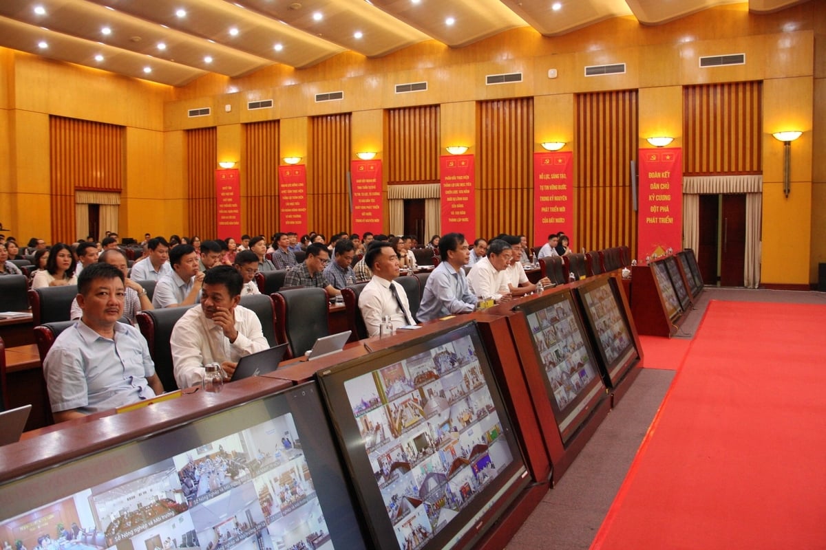 Hội nghị được tổ chức theo hình thức trực tiếp kết hợp trực tuyến, kết nối trực tuyến đến 34 điểm cầu các Sở Nông nghiệp và Môi trường các tỉnh, thành phố trên toàn quốc. Ảnh: Mai Đan.
