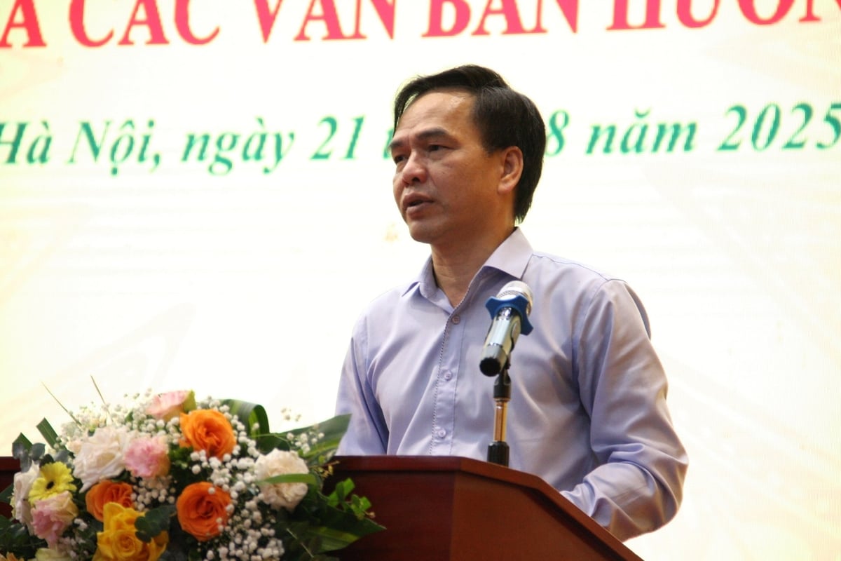 Phó Cục trưởng Cục Địa chất và Khoáng sản Việt Nam Mai Thế Toản phát biểu tại hội nghị. Ảnh: Mai Đan.