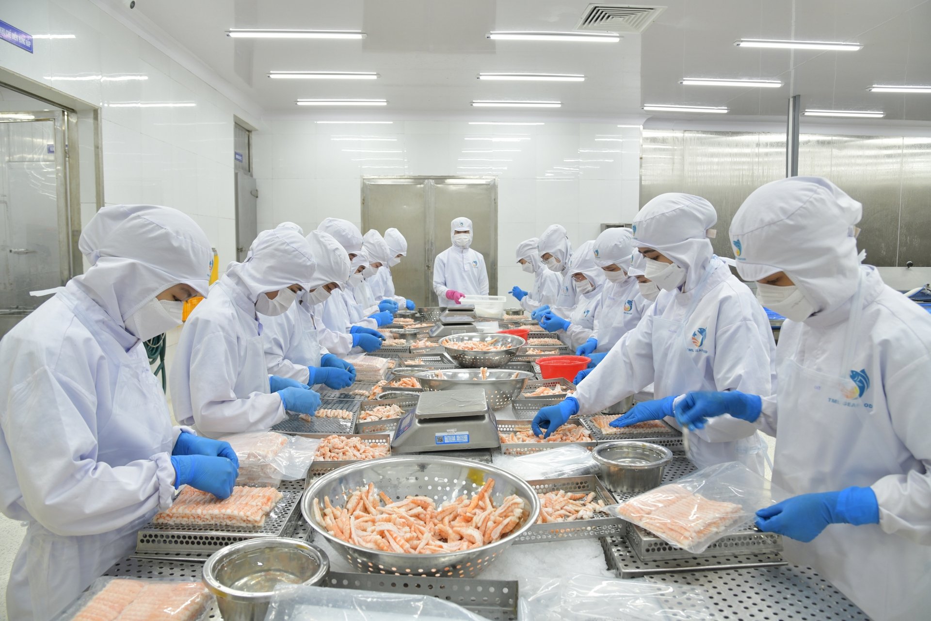 Kim ngạch xuất khẩu thủy sản Việt Nam 6 tháng đầu năm 2025 ước đạt 5,2 tỷ USD, tăng 16,9% so với cùng kỳ năm 2024. Ảnh: Hồng Thắm.