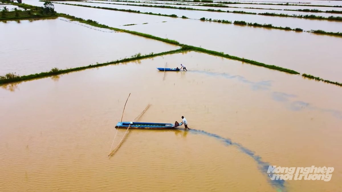 Nghề đẩy côn ở miền Tây. Ảnh: Văn Vũ.
