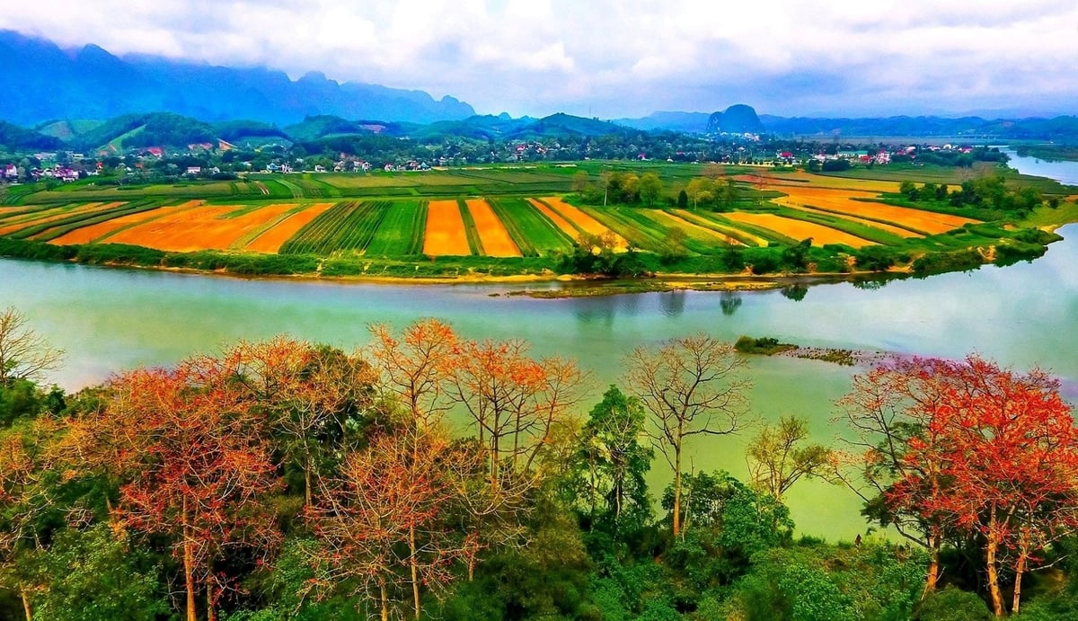 Một góc vùng đệm Vườn quốc gia Pù Mát. Ảnh: Quang Dũng/Báo Nghệ An.