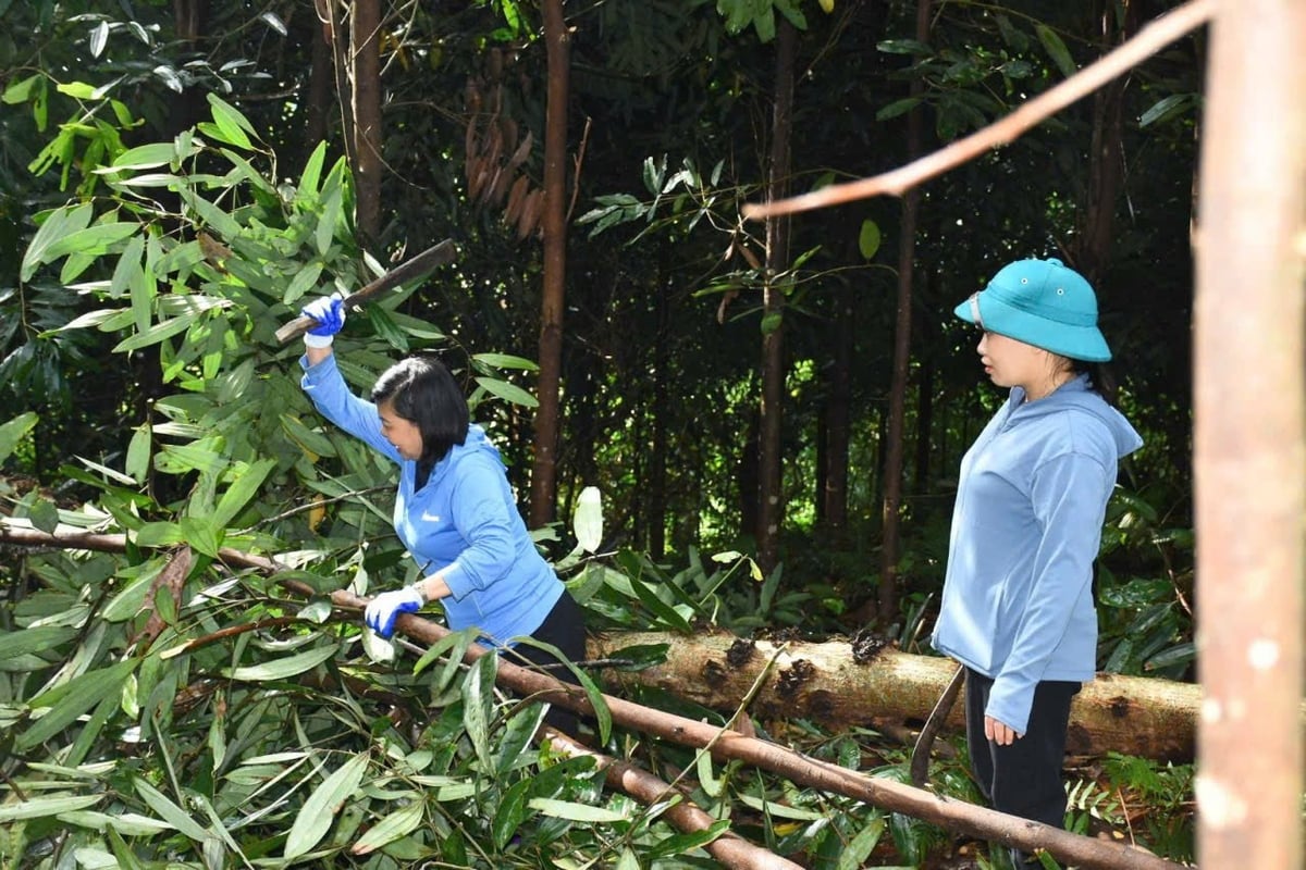 Chị em hỗ trợ nhau phát dọn hành lang tuyến đường dây 500kV. Ảnh: Minh Huyền.
