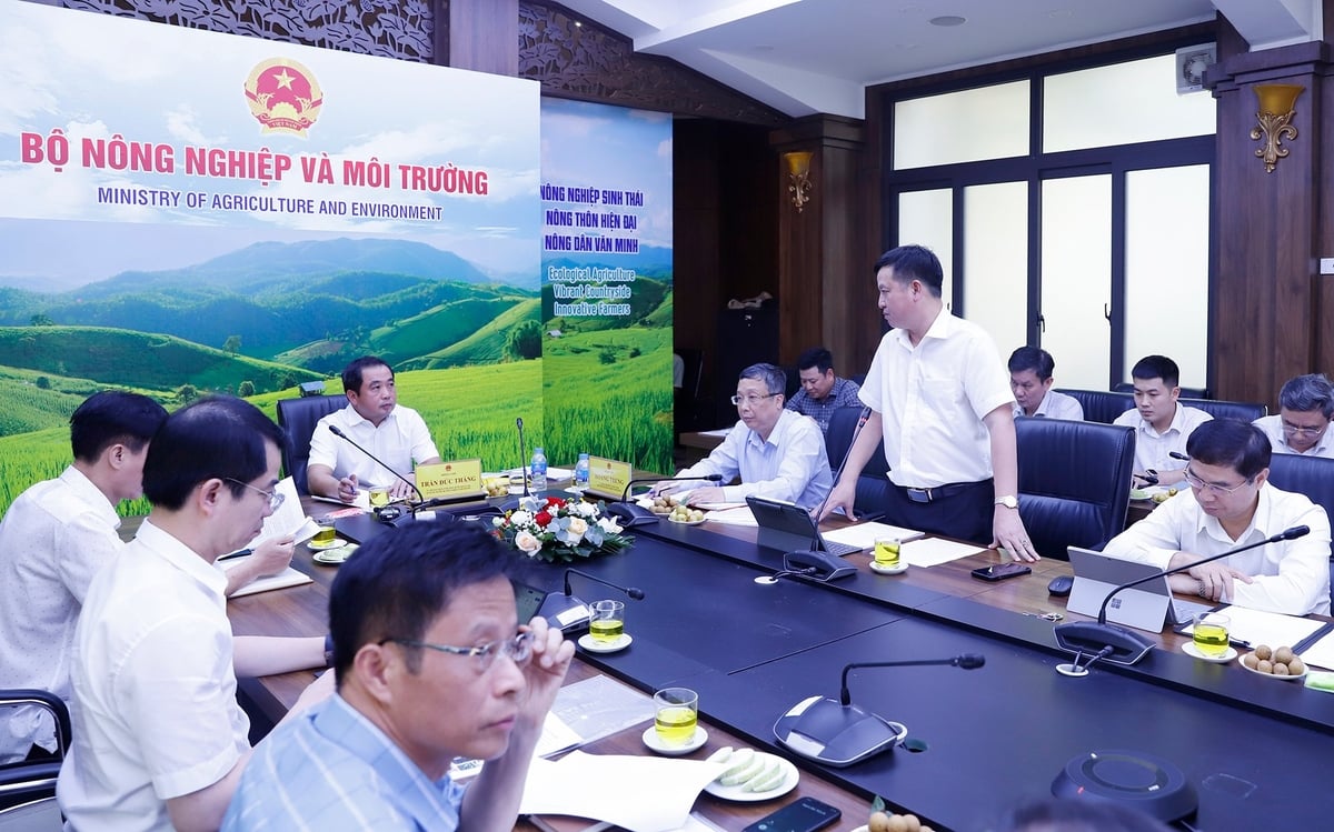 Ông Huỳnh Tấn Đạt, Cục trưởng Cục Trồng trọt và Bảo vệ Thực vật báo cáo tại cuộc họp. Ảnh: Khương Trung.