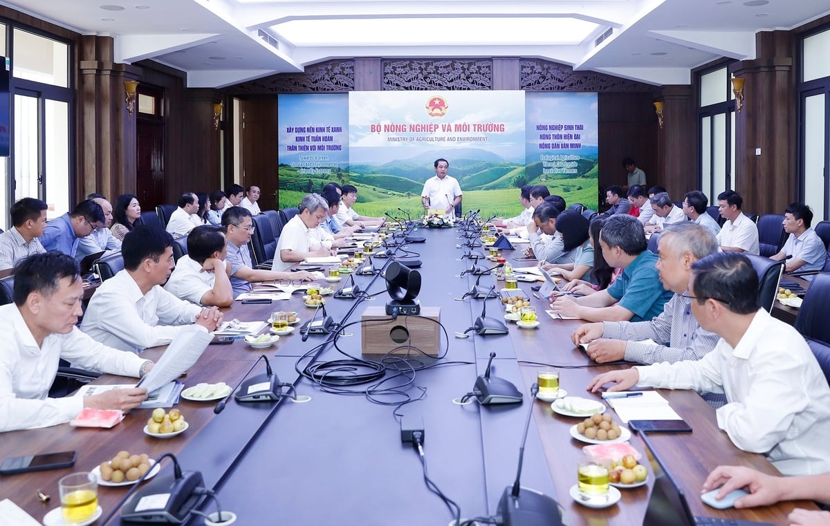 Toàn cảnh cuộc họp chiều 22/8. Ảnh: Khương Trung.