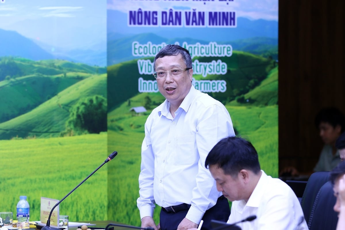 Thứ trưởng Bộ Nông nghiệp và Môi trường Hoàng Trung. Ảnh: Khương Trung.