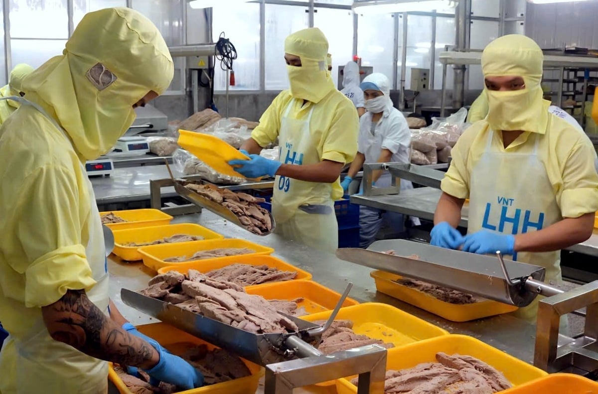Tuna processing plant for export. Photo: Kim So.