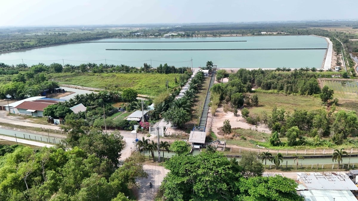 Thủy lợi TP.HCM không chỉ chống ngập mà còn phục vụ đa mục tiêu: cấp nước, ngăn mặn, bảo vệ môi trường và phát triển nông nghiệp đô thị. Ảnh: Lê Bình.