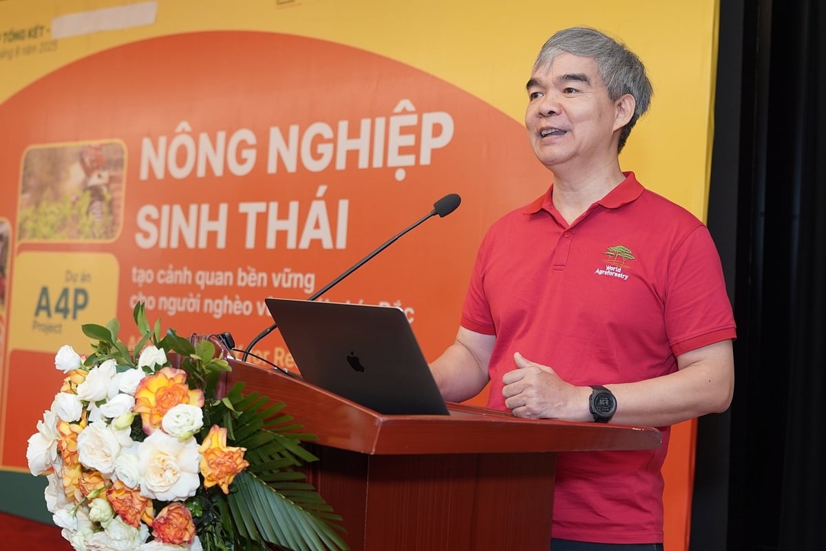 TS Nguyễn Quang Tân, Điều phối viên quốc gia của ICRAF tại Việt Nam. Ảnh: Bảo Thắng.