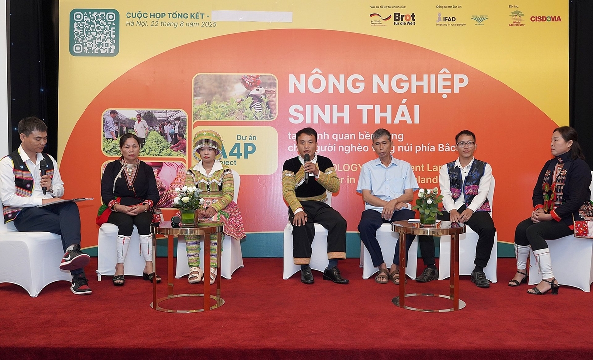 Những nông dân hưởng lợi trực tiếp từ Dự án A4P chia sẻ tại buổi tổng kết. Ảnh: Bảo Thắng.