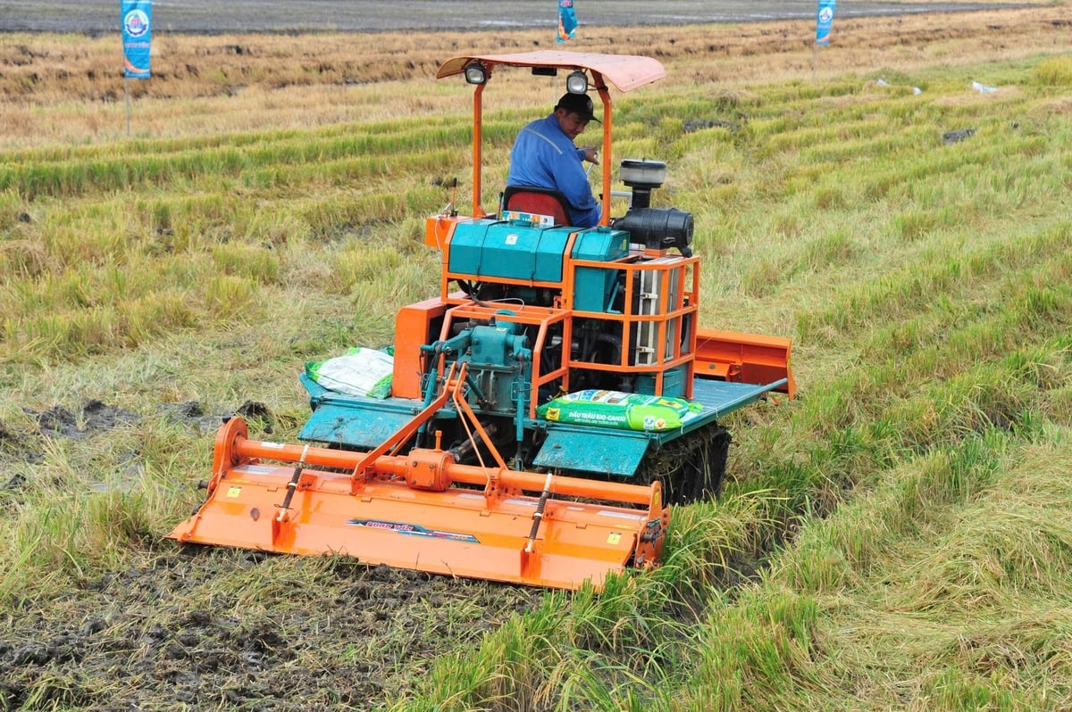 Phân bón Đầu Trâu Bio-Canxi giúp phân hủy nhanh rơm rạ trên ruộng hoàn trả lại dinh dưỡng cho đất, hạn chế ngộ độc hữu cơ. Ảnh: Thanh Tùng. Phân bón Đầu Trâu Bio-Canxi giúp phân hủy nhanh rơm rạ trên ruộng hoàn trả lại dinh dưỡng cho đất, hạn chế ngộ độc hữu cơ. Ảnh: Thanh Tùng.