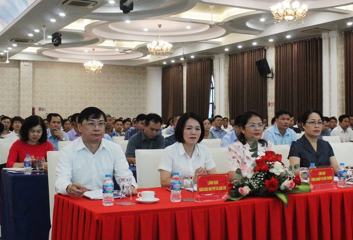 Hội thảo thu hút hơn 400 đại biểu là hội viên nông dân, doanh nghiệp, hợp tác xã trên địa bàn Lạng Sơn tham dự. Ảnh: Văn Tính.