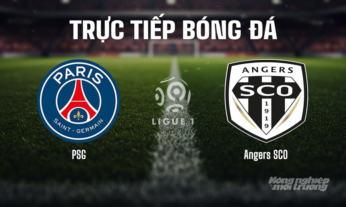Trực tiếp bóng đá Ligue 1 (VĐQG Pháp) 2025/26 giữa PSG vs Angers SCO ngày 23/8/2025