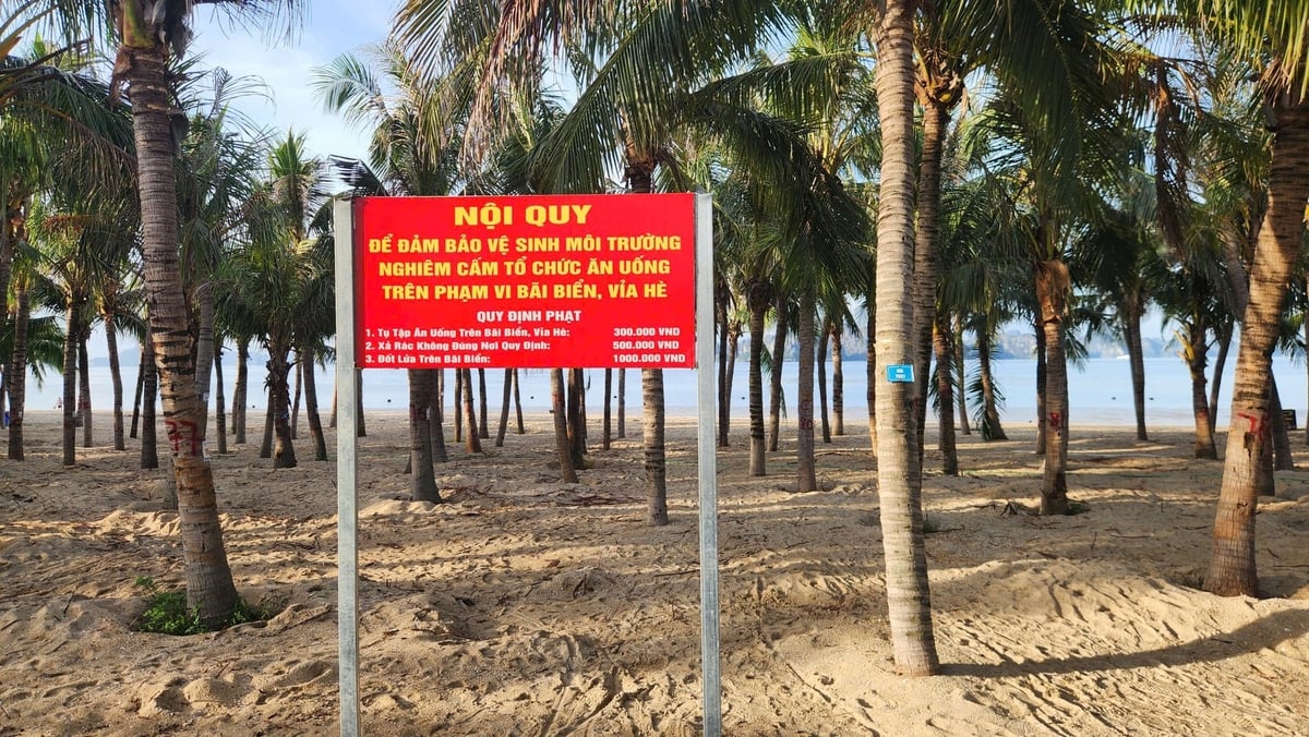 Tại lối vào bãi tắm có biển nội quy nhưng ý thức của người dân, du khách về môi trường 'đáng báo động'. Ảnh: Nguyễn Thành.