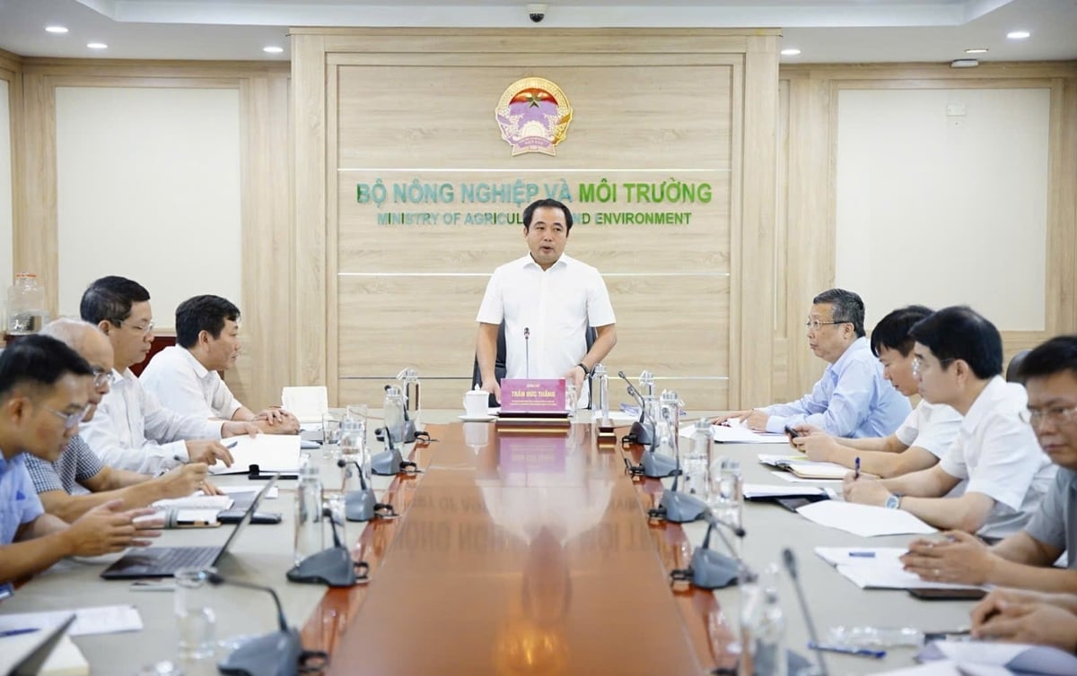 Quyền Bộ trưởng Trần Đức Thắng chủ trì cuộc họp với Vụ Hợp tác quốc tế sáng 22/8. Ảnh: Linh Linh. Quyền Bộ trưởng Trần Đức Thắng chủ trì cuộc họp với Vụ Hợp tác quốc tế sáng 22/8. Ảnh: Linh Linh.