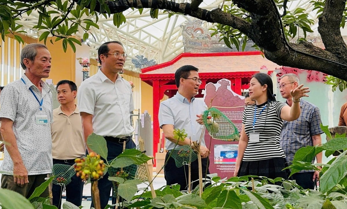 Tỉnh Quảng Ngãi đã hoàn thành không gian trưng bày tại Triển lãm thành tựu đất nước 80 năm Hành trình Độc lập - Tự do - Hạnh phúc. Ảnh: L.K. Tỉnh Quảng Ngãi đã hoàn thành không gian trưng bày tại Triển lãm thành tựu đất nước 80 năm Hành trình Độc lập - Tự do - Hạnh phúc. Ảnh: L.K.