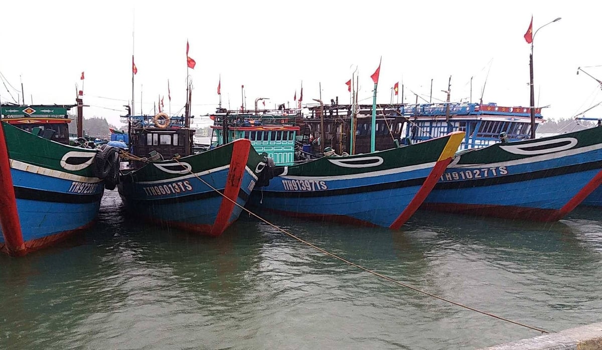 Trước tình hình bão số 5 có thể ảnh hưởng trực tiếp đến địa phương, TP Huế yêu cầu các cơ quan, đơn vị khẩn trương ứng phó, trong đó tàu thuyền vào nơi tránh trú an toàn trước 19h ngày 23/8. Ảnh: Văn Dinh. Trước tình hình bão số 5 có thể ảnh hưởng trực tiếp đến địa phương, TP Huế yêu cầu các cơ quan, đơn vị khẩn trương ứng phó, trong đó tàu thuyền vào nơi tránh trú an toàn trước 19h ngày 23/8. Ảnh: Văn Dinh.