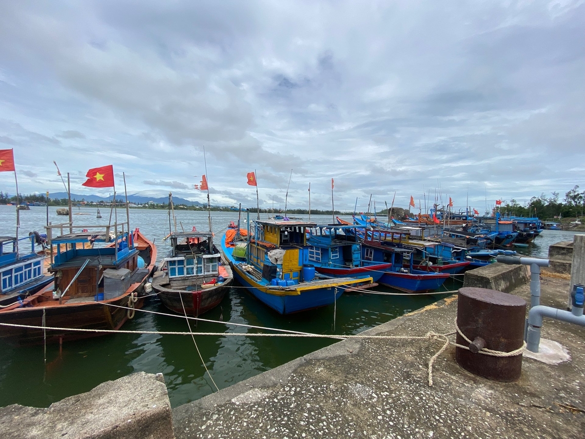 Quảng Ngãi hướng dẫn tàu thuyền về nơi an toàn. Ảnh: Võ Hà. Quảng Ngãi hướng dẫn tàu thuyền về nơi an toàn. Ảnh: Võ Hà.