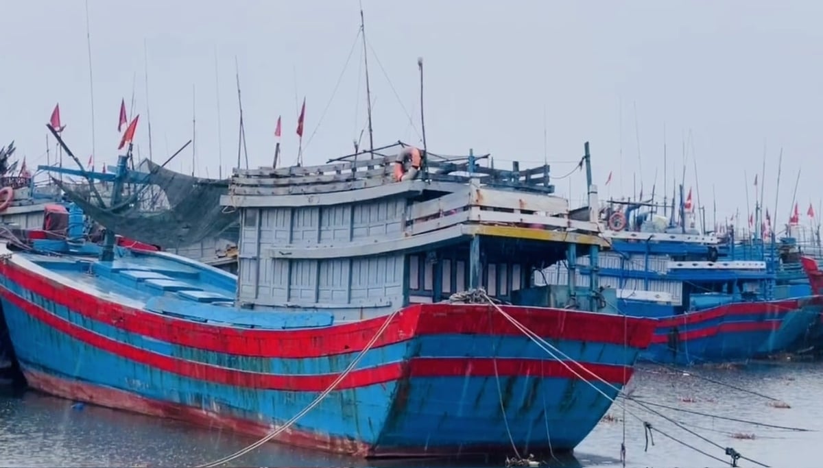 Tỉnh cũng chỉ đạo cấm tất cả tàu thuyền ra khơi khi có gió từ cấp 6 trở lên, bao gồm tuyến vận tải hành khách Sa Kỳ – Lý Sơn và Đảo Lớn – Đảo Bé. Ảnh: Võ Hà. Tỉnh cũng chỉ đạo cấm tất cả tàu thuyền ra khơi khi có gió từ cấp 6 trở lên, bao gồm tuyến vận tải hành khách Sa Kỳ – Lý Sơn và Đảo Lớn – Đảo Bé. Ảnh: Võ Hà.